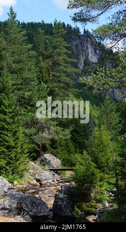 Magnifique paysage norvégien avec petit pont avec fond de forêt verte et de hautes montagnes bleues derrière de grands arbres Banque D'Images