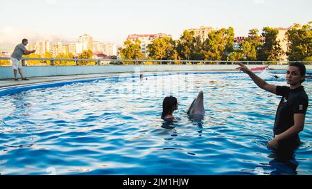 Femme caucasienne nageant avec un dauphin dans la piscine. Batumi nage avec le concept de l'expérience dauphin Banque D'Images