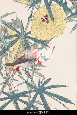 Les albums d'oiseaux et de fleurs four Seasons (keinen Kacho Gafu). Musée : COLLECTION PRIVÉE. Auteur: IMAO KEINEN. Banque D'Images