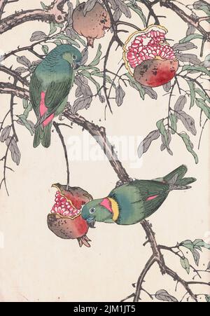 Les albums d'oiseaux et de fleurs four Seasons (keinen Kacho Gafu). Musée : COLLECTION PRIVÉE. Auteur: IMAO KEINEN. Banque D'Images