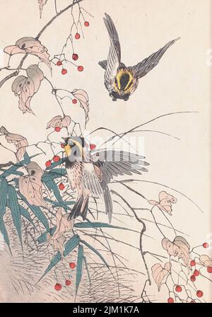 Les albums d'oiseaux et de fleurs four Seasons (keinen Kacho Gafu). Musée : COLLECTION PRIVÉE. Auteur: IMAO KEINEN. Banque D'Images