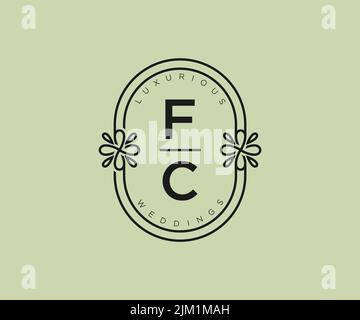 Lettre initiale FC modèle de logos de monogramme de mariage, modèles minimalistes et floraux dessinés à la main pour cartes d'invitation, Save the Date, élégant Illustration de Vecteur
