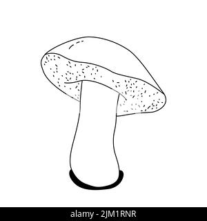 Icône de ligne vectorielle pour champignon. Bouton blanc isolé. Vintage. Illustration vectorielle. Illustration de Vecteur