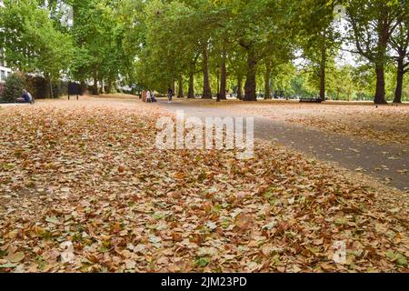 Londres, Royaume-Uni. 4th août 2022. Les feuilles tombées dans Green Park ressemblent à l'automne, alors que l'Angleterre rapporte son mois de juillet le plus sec en près d'un siècle, ce qui provoque le départ précoce des arbres. Le changement climatique provoqué par l'homme a conduit à des vagues de chaleur et à des conditions de sécheresse dans une grande partie du Royaume-Uni. Credit: Vuk Valcic/Alamy Live News Banque D'Images