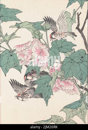 Les albums d'oiseaux et de fleurs four Seasons (keinen Kacho Gafu). Musée : COLLECTION PRIVÉE. Auteur: IMAO KEINEN. Banque D'Images