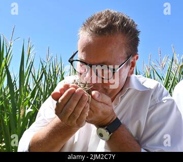 04 août 2022, Bade-Wurtemberg, Ottersweier: Peter Hauk (CDU), ministre des zones rurales du Bade-Wurtemberg, sent un sol riche en humus à Aspichhof, près d'un champ de maïs. Pour aider les agriculteurs à préserver l'humus dans leurs champs et, idéalement, même à l'augmenter, le Parc naturel de la Forêt-Noire Centre/Nord a lancé le 'projet Humus'. L'idée derrière elle: Les entreprises, les municipalités, les institutions peuvent compenser leurs émissions inévitables de gaz à effet de serre en achetant des primes dites humus. Photo: Uli Deck/dpa Banque D'Images