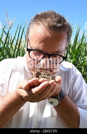 04 août 2022, Bade-Wurtemberg, Ottersweier: Peter Hauk (CDU), ministre des zones rurales du Bade-Wurtemberg, sent un sol riche en humus à Aspichhof, près d'un champ de maïs. Pour aider les agriculteurs à préserver l'humus dans leurs champs et, idéalement, même à l'augmenter, le Parc naturel de la Forêt-Noire Centre/Nord a lancé le 'projet Humus'. L'idée derrière elle: Les entreprises, les municipalités, les institutions peuvent compenser leurs émissions inévitables de gaz à effet de serre en achetant des primes dites humus. Photo: Uli Deck/dpa Banque D'Images