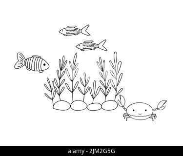 Aperçu sous-marin algues, joli crabe et nageant vecteur de la composition d'illustration, la composition de la vie marine pour colorier page, activités de loisirs enfants, aquarium flore dessin animé image Illustration de Vecteur