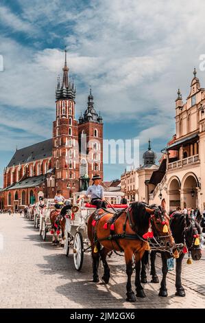 Cracovie, voïvodie de Maloplskie, Pologne; 1 août 2022 : calèches traditionnelles et élégantes sur la place principale de Cracovie avec l'église Mariacki et S. Banque D'Images