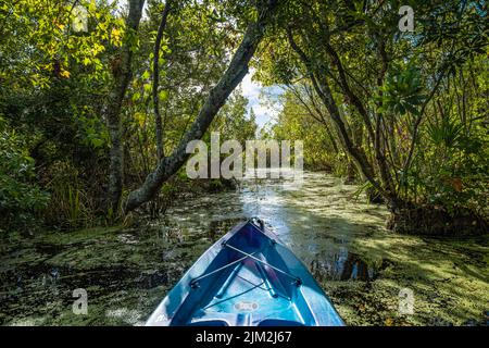 Vue en kayak depuis le lancement de North Guana Outpost sur la rivière Guana à Ponte Vedra Beach, Floride. (ÉTATS-UNIS) Banque D'Images