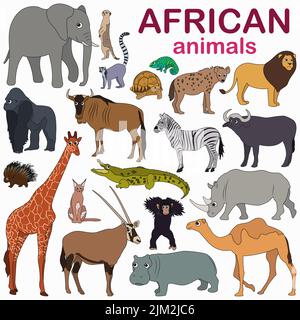 Grande collection d'animaux africains de dessins animés. Illustration de Vecteur