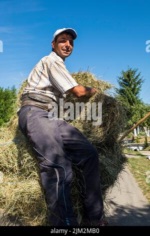 Roumanie, Transylvanie, Dorolea, vie quotidienne dans la campagne Banque D'Images