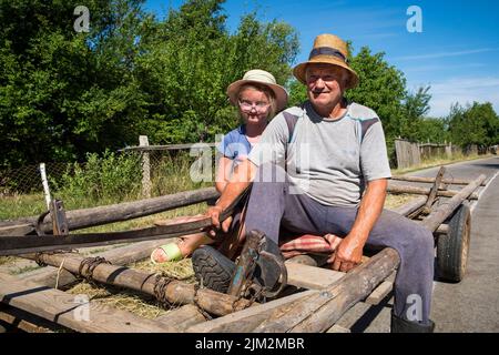 Roumanie, Transylvanie, Dorolea, vie quotidienne dans la campagne Banque D'Images