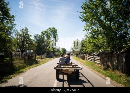 Roumanie, Transylvanie, Dorolea, vie quotidienne dans la campagne Banque D'Images