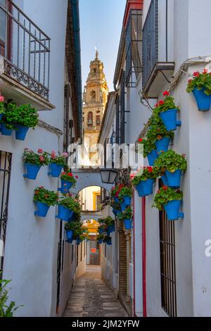 Vue sur la rue de la vieille ville andalouse de Cordoue avec la rivière Guadalquivir et la Grande Mosquée (cathédrale Mezquita), Espagne. Banque D'Images