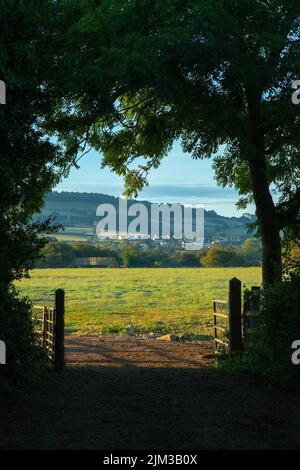 Terres agricoles près de la ville d'Axminster, dans East Devon, au Royaume-Uni. Banque D'Images