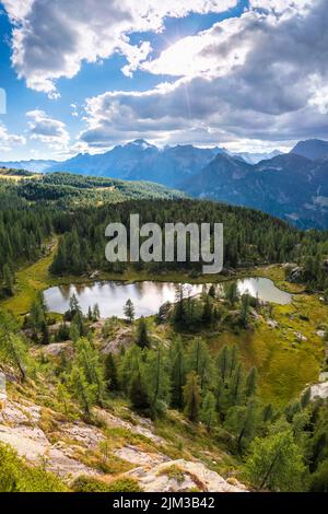 Vue aérienne sur le lac Mufule et le mont Disgrazia entouré de larches en été. Valmalenco, Valtellina, Sondrio, Lombardie, Italie, Europe. Banque D'Images