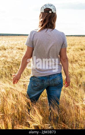 Vue arrière femme en Jean parmi les céréales jaunes champ de blé sec agriculture et récolte de grain maquette Banque D'Images