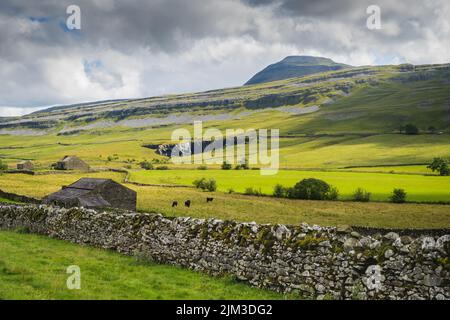 31.07.2022 Ingleton, North Yorkshire, UK Barn on Oddies Lane avec la montagne de l'ingeborough en arrière-plan Banque D'Images