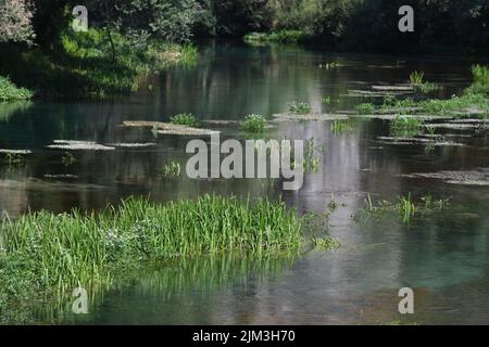 Faibles niveaux d'eau de la rivière Krka en raison de la sécheresse et de longues périodes sans pluie à Knin, en Croatie, le 4th août 2022. Photo: Hrvoje Jelavic/PIXSELL Banque D'Images