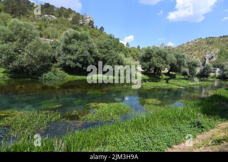 Faibles niveaux d'eau de la rivière Krka en raison de la sécheresse et de longues périodes sans pluie à Knin, en Croatie, le 4th août 2022. Photo: Hrvoje Jelavic/PIXSELL Banque D'Images