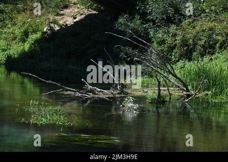 Faibles niveaux d'eau de la rivière Krka en raison de la sécheresse et de longues périodes sans pluie à Knin, en Croatie, le 4th août 2022. Photo: Hrvoje Jelavic/PIXSELL Banque D'Images