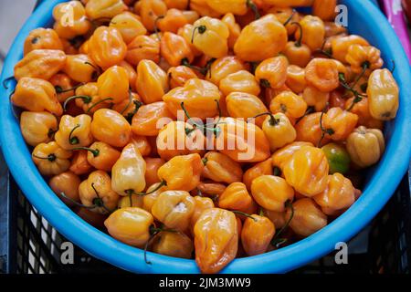 Poivrons orange habanero placés sur une étagère à vendre à l'intérieur d'un marché Banque D'Images