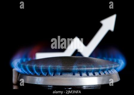 Prix du propane. Les chaînes d'approvisionnement et la crise du gaz énergétique. Le concept d'importation et d'exportation de gaz, de transit. Cuisinière à gaz avec flamme brûlante et graphique Banque D'Images