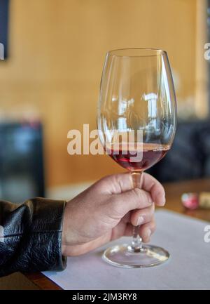 main de l'homme tenant un verre de vin rouge. visite en vacances d'un domaine viticole à mendoza en argentine. Dégustation de vins. Mise au point sélective Banque D'Images