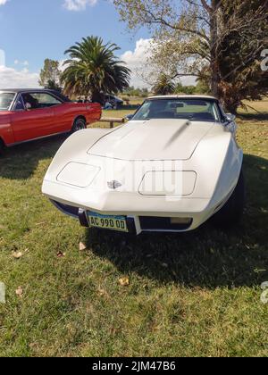 Vieux sport blanc Chevrolet Corvette C3 Cabriolet 1970s deux portes par GM à la campagne. Nature herbe arbre. Voiture de course classique. Vue avant. Banque D'Images