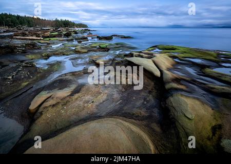 Un long rivage rocheux exposé de la baie Whaling Station à Hornby Island, île de Vancouver, Canada Banque D'Images
