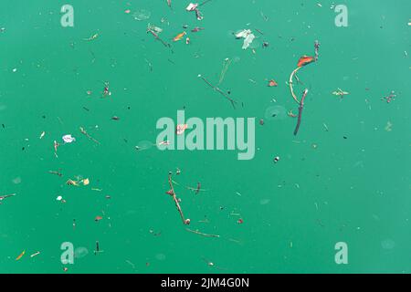 Déchets et saleté dans la bande côtière à la surface de l'eau turquoise dans la mer Banque D'Images