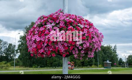 Lampadaire avec fleurs colorées dans le parc . Fleurs pétunia roses sur le lampadaire de rue. Cèse Banque D'Images