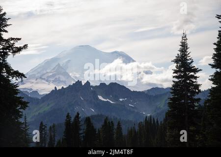 Photo de Mt. Rainier pendant l'été, encadré par des arbres Evergreen sur les côtés et en bas de l'image. Premier plan plus foncé avec une montagne plus pastel. Banque D'Images