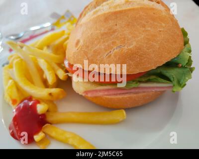 Détail d'un hamburger maison avec un petit pain croûté XXL et des frites Banque D'Images