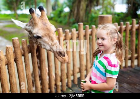 Girafe en famille dans le zoo. Les enfants nourrissent des girafes dans le parc safari tropical pendant les vacances d'été à Singapour. Les enfants regardent les animaux. Banque D'Images