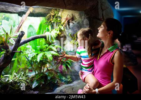 Un serpent d'observation en famille dans le terrarium du zoo. La mère et l'enfant regardent les serpents dans le parc safari tropical pendant les vacances d'été à Singapour. Les enfants observent les animaux. Banque D'Images