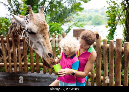 Girafe en famille dans le zoo. Les enfants nourrissent des girafes dans le parc safari tropical pendant les vacances d'été à Singapour. Les enfants regardent les animaux. Banque D'Images