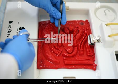 Odessa, Ukraine. 16th novembre 2021. Les mains de l'étudiant sont vues faire des points de suture. Mannequin de HAL avec intelligence artificielle pour les soins d'urgence dans une équipe dans diverses conditions avec la capacité d'utiliser de réels équipements de réanimation. (Photo de Viacheslav Onyshchenko/SOPA Images/Sipa USA) crédit: SIPA USA/Alay Live News Banque D'Images