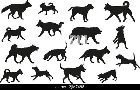 Groupe de chiens de différentes races. Silhouette de chien noire. Chiens de course, debout, marchant, sautant. Isolé sur un fond blanc. Animaux de compagnie. Vecteur. Illustration de Vecteur