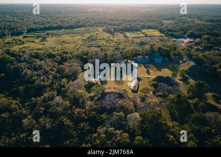 Un Drone aérien du site archéologique d'Altun Ha à BelizeCountry en Amérique centrale avec des arbres forestiers Banque D'Images