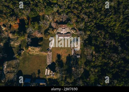 Un Drone aérien du site archéologique d'Altun Ha à BelizeCountry en Amérique centrale avec des arbres forestiers Banque D'Images