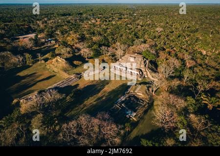 Un Drone aérien du site archéologique d'Altun Ha à BelizeCountry en Amérique centrale avec des arbres forestiers Banque D'Images