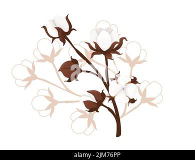 Illustration vectorielle de branche de fleur de coton de grande taille isolée sur fond blanc Illustration de Vecteur