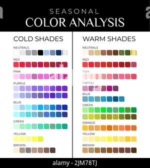 Palette de couleurs d'analyse des couleurs saisonnières avec des nuances de couleurs chaudes et froides Illustration de Vecteur