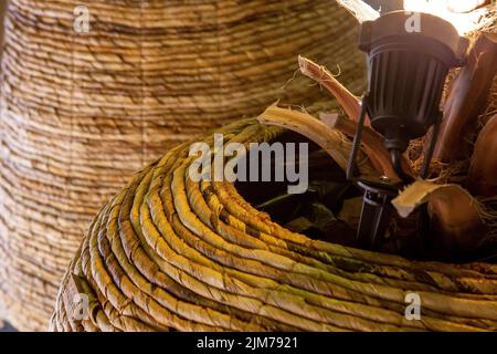 plantes vertes en paniers tissés Banque D'Images