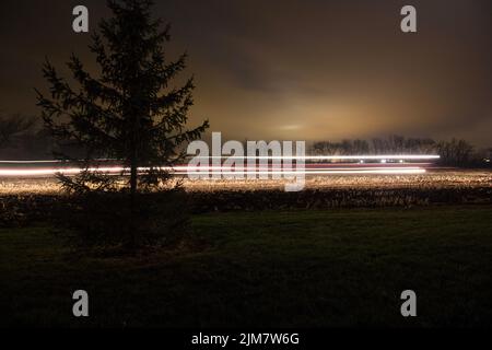 Une longue exposition de feux de signalisation contre une pelouse verte et un sapin la nuit Banque D'Images