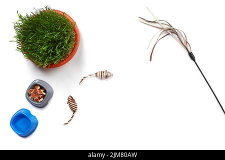 Composition de la couche plate avec accessoires pour un chat isolé sur fond blanc. Soin des animaux. Banque D'Images