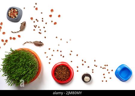 Composition de la couche plate avec accessoires pour un chat isolé sur fond blanc. Soin des animaux. Banque D'Images