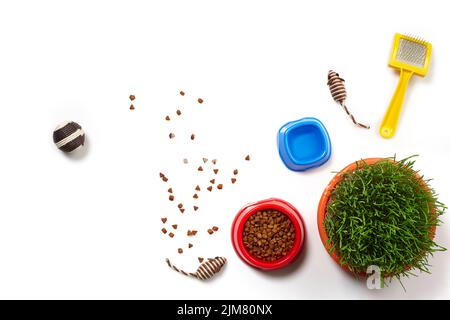 Composition de la couche plate avec accessoires pour un chat isolé sur fond blanc. Soin des animaux. Banque D'Images